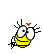 ojoscora: